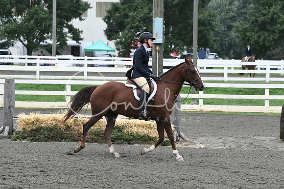 HSM_1461