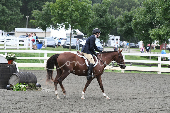 HSM_1462