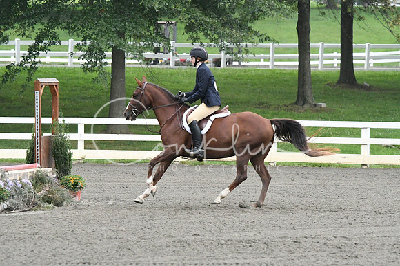 HSM_1496