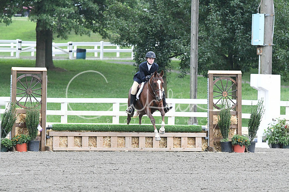 HSM_1498