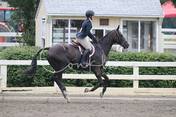 RJC17178