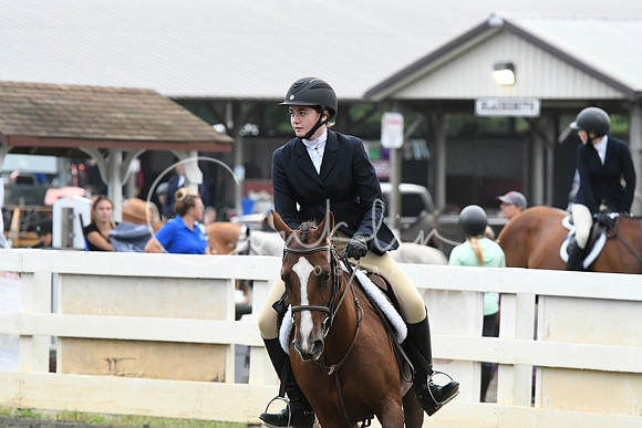 HSM_1505