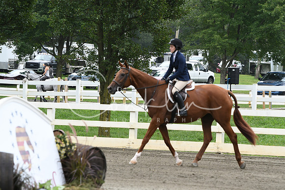 HSM_2644