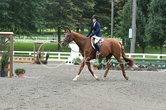 HSM_2645