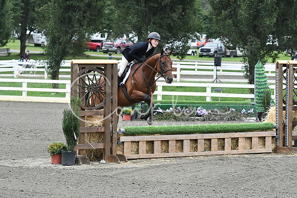HSM_1408