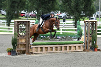 HSM_1409