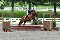 HSM_1413