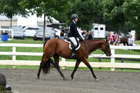 HSM_1419
