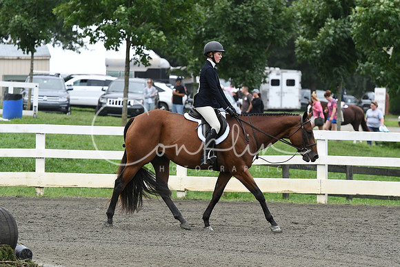HSM_1419