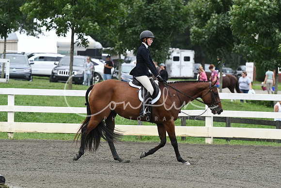 HSM_1420