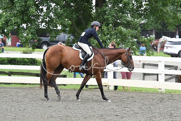 HSM_1421