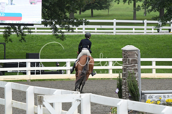 HSM_1484