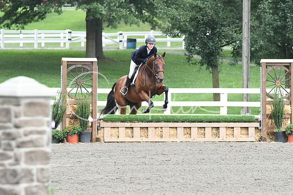 HSM_1510