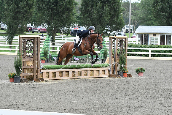 HSM_1513