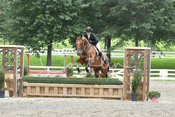 HSM_3046
