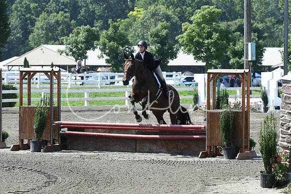 HSM_0378