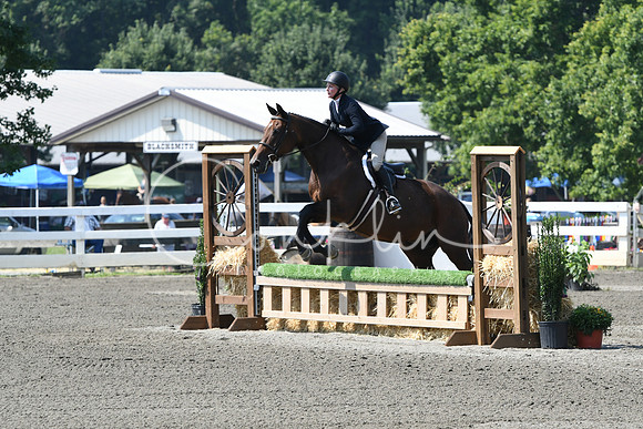 HSM_0410