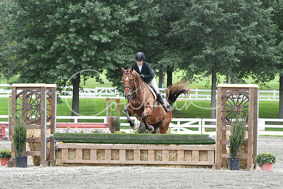 HSM_3111