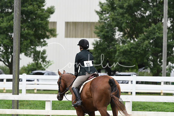 HSM_3172