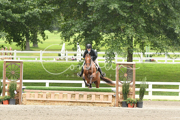 HSM_3174