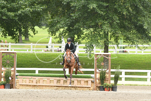 HSM_3175