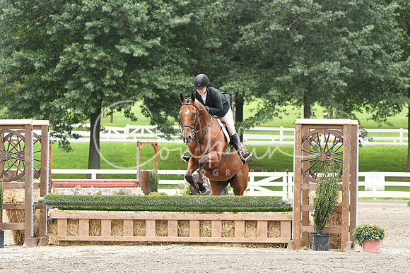HSM_3176