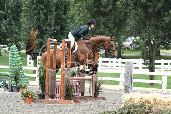 HSM_3181