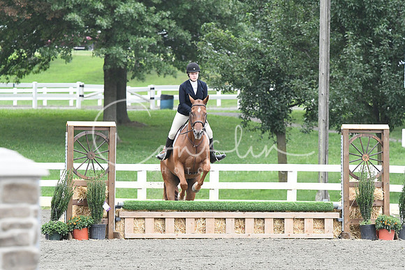 HSM_1807