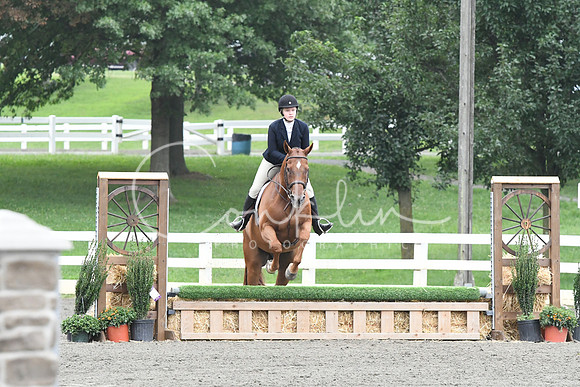 HSM_1808