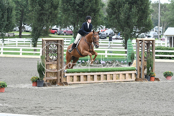 HSM_1810