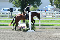 HSM_0363