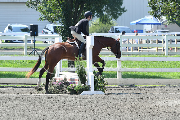 HSM_0363