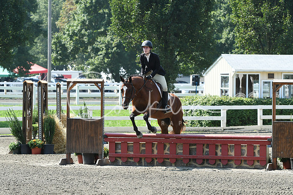 HSM_0387
