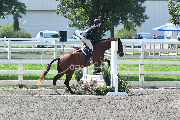 HSM_0388