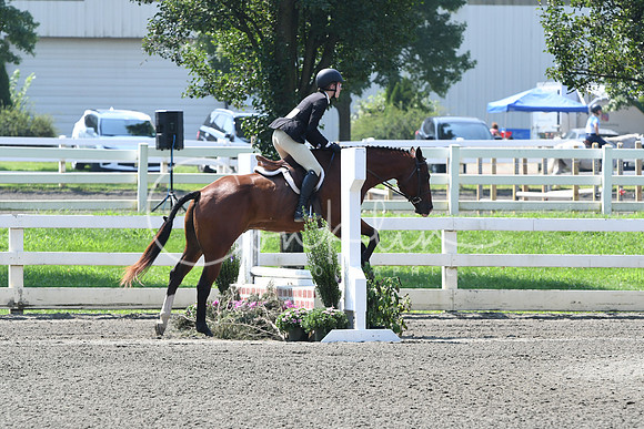 HSM_0389