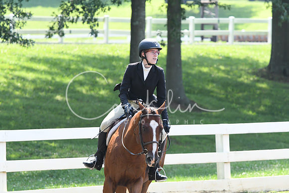 HSM_0393