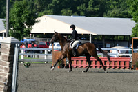HSM_9728