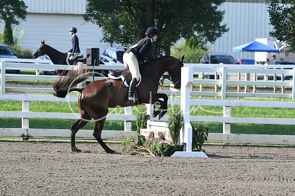 HSM_9740