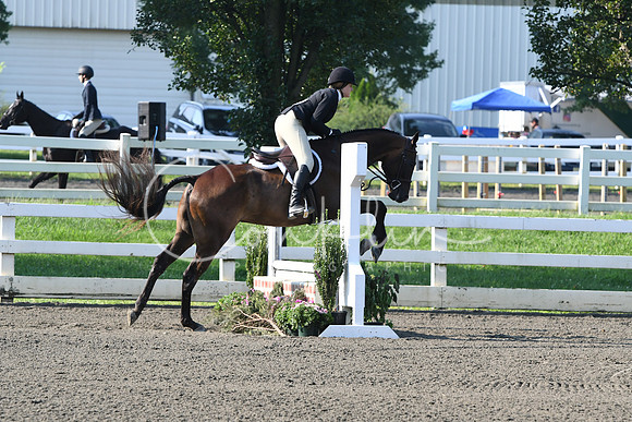 HSM_9741