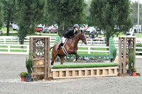 HSM_1327
