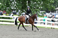 HSM_1333