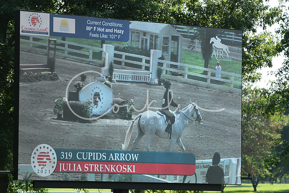 HSM_0439