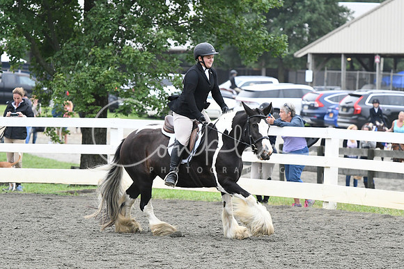 HSM_2154