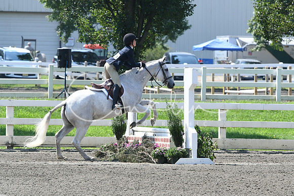 HSM_0442