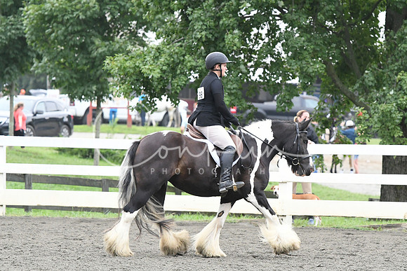 HSM_2157