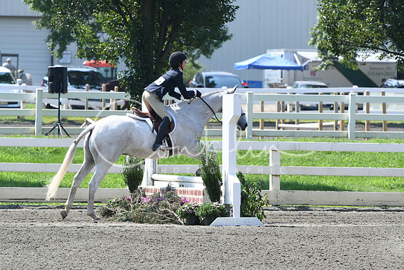 HSM_0443