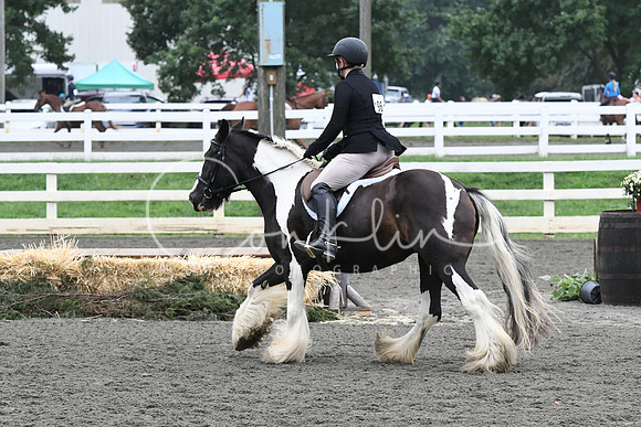 HSM_2199