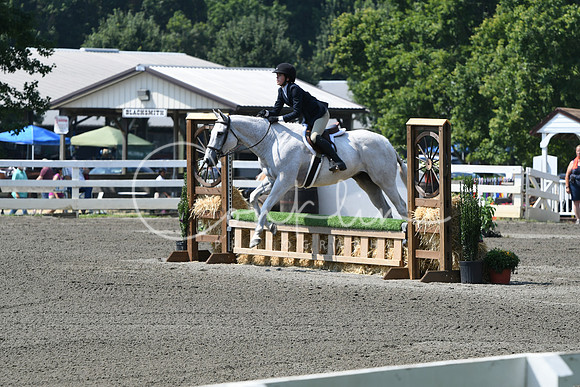 HSM_0445