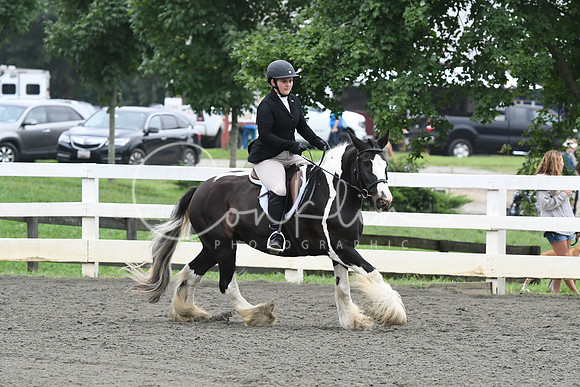 HSM_2201