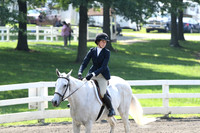 HSM_0446